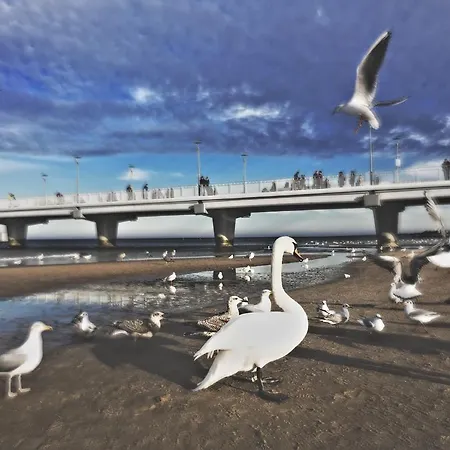 Maritimo Port Apartamento Kołobrzeg