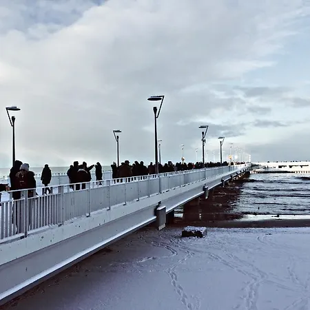 Appartamento Maritimo Port *