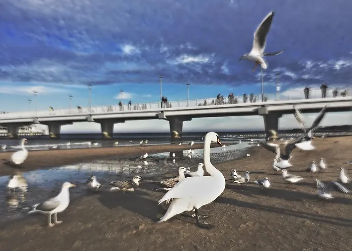 Maritimo Port Appartement Kołobrzeg